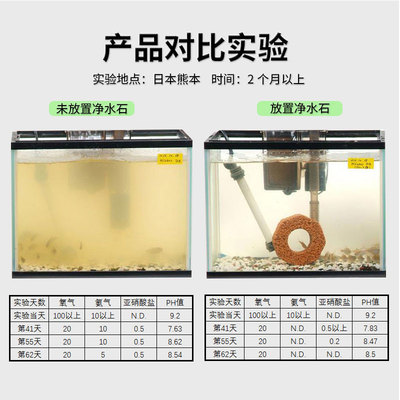 釣魚怎么發朋友圈：釣魚怎么發朋友圈配文釣魚幽默說說心情短語