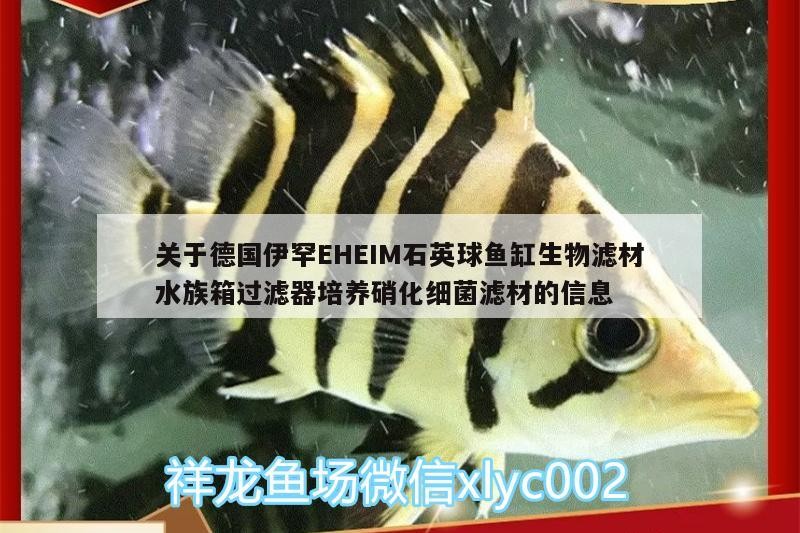 關(guān)于德國伊罕EHEIM石英球魚缸生物濾材水族箱過濾器培養(yǎng)硝化細(xì)菌濾材的信息