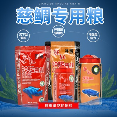 釣魚情感文案：釣魚情感文案合集