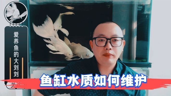 赤血紅龍魚(yú)生長(zhǎng)過(guò)程視頻講解圖（赤血紅龍魚(yú)生長(zhǎng)過(guò)程視頻講解圖片）