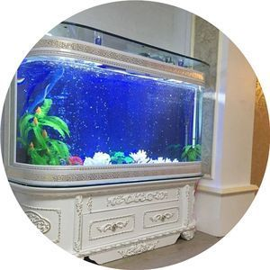 1.2米魚缸多長時間換一次水：1.2米魚缸多久換一次水