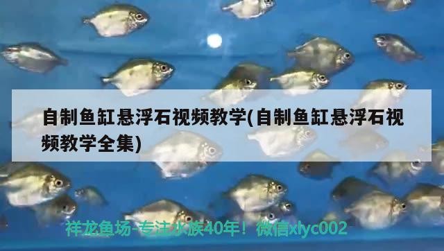 自制魚缸懸浮石視頻教學(自制魚缸懸浮石視頻教學全集)