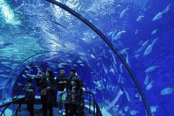 阿拉善盟水族館vs祥龍魚場（阿拉善盟水族館與祥龍魚場的競爭關系）