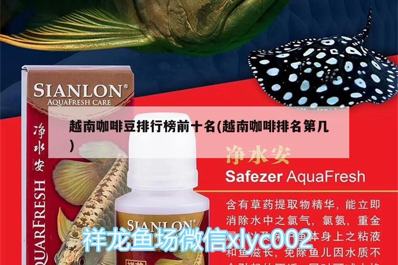越南咖啡豆排行榜前十名(越南咖啡排名第幾)