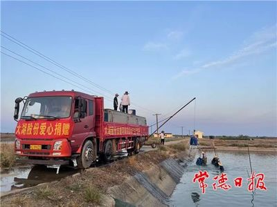底砂過濾魚糞怎么處理：底砂過濾魚糞怎么處理好