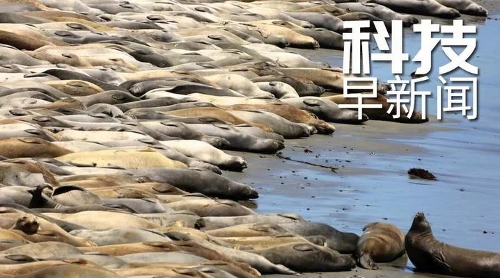 鄧氏魚是脊椎動物祖先嗎：鄧氏魚是脊椎動物祖先嗎為什么