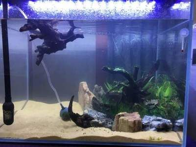 502膠能粘魚(yú)缸嗎：502膠水可以粘魚(yú)缸嗎？
