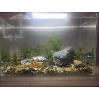 創寧變頻水泵流量變小（創寧變頻水泵流量變小為什么）