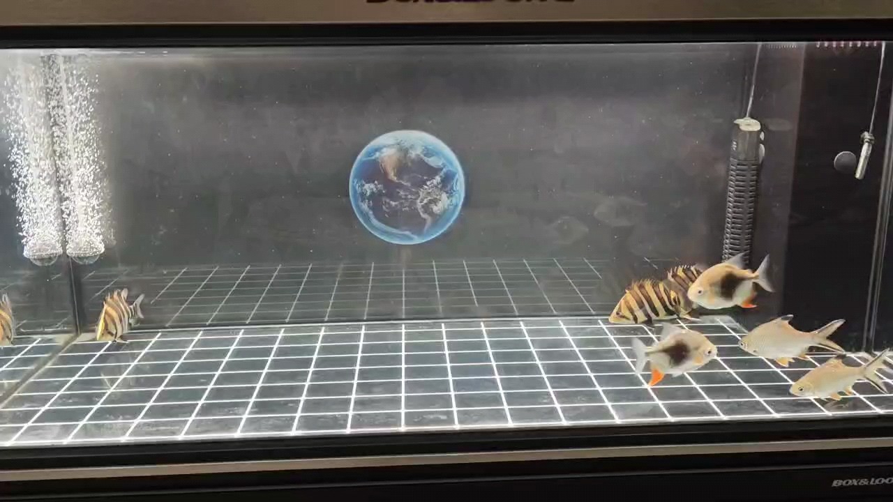 兩天一頓，狀態杠杠的