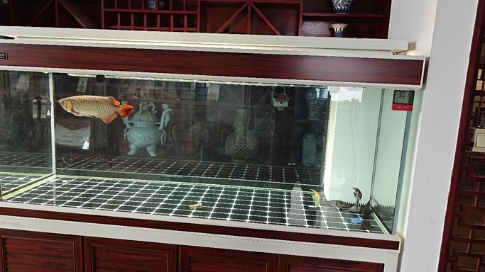 換季的陰雨天氣真是忽冷忽熱，加熱棒好起來