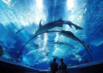 淮北水族館vs祥龍魚場（淮北市相山區龍鱗閣水族館和淮北市相山區居龍坊水族館）