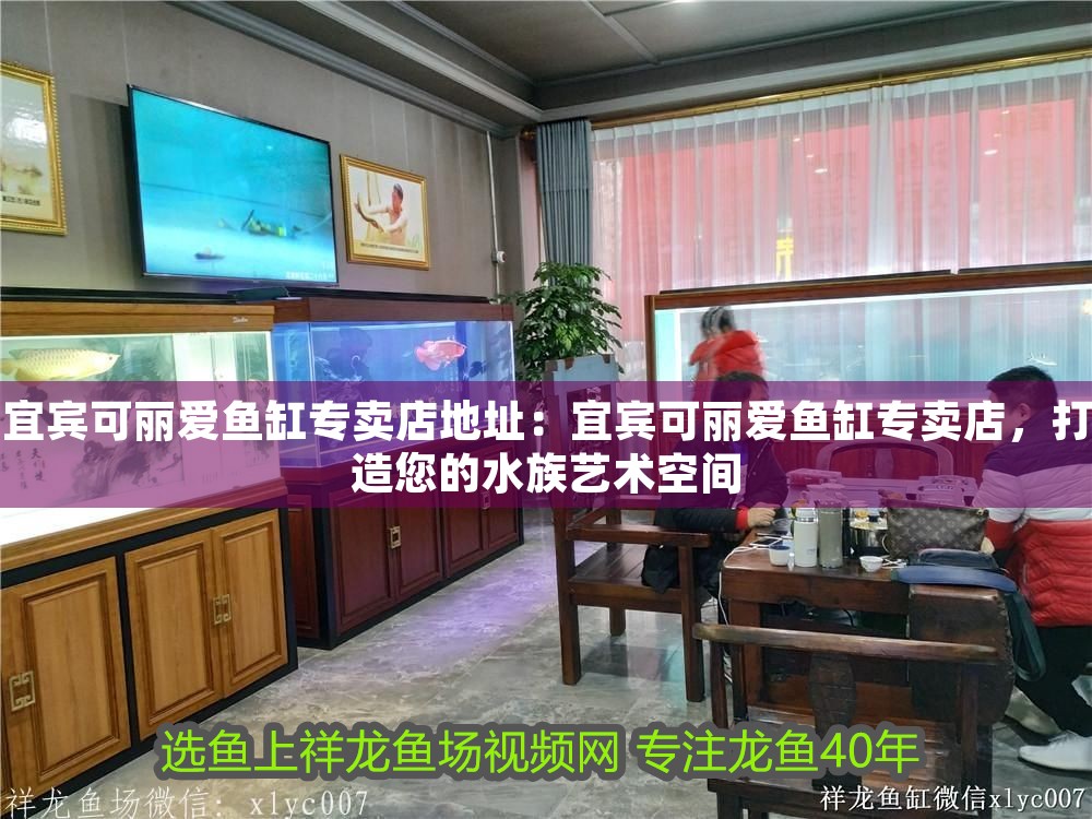宜賓可麗愛魚缸專賣店地址：宜賓可麗愛魚缸專賣店，打造您的水族藝術空間