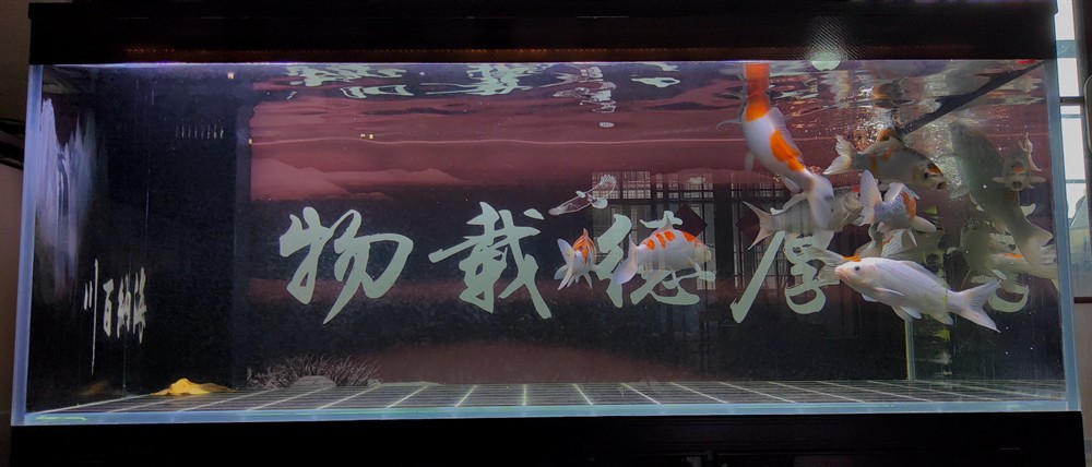凡人