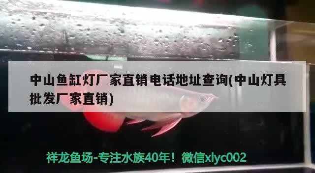 中山魚缸燈廠家直銷電話地址查詢(中山燈具批發廠家直銷)