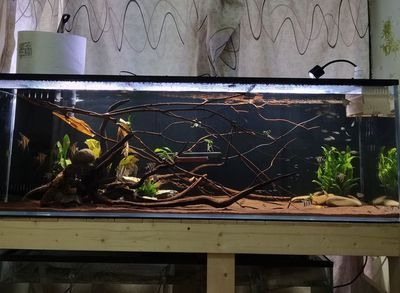 1.2米×.0.3米魚缸有多少水：1.2米×0.3米魚缸有多少水