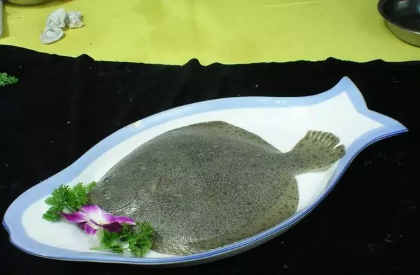 大型魚混養(yǎng)發(fā)財鸚鵡銀龍：大型魚混養(yǎng)發(fā)財鸚鵡銀龍能繁殖嗎