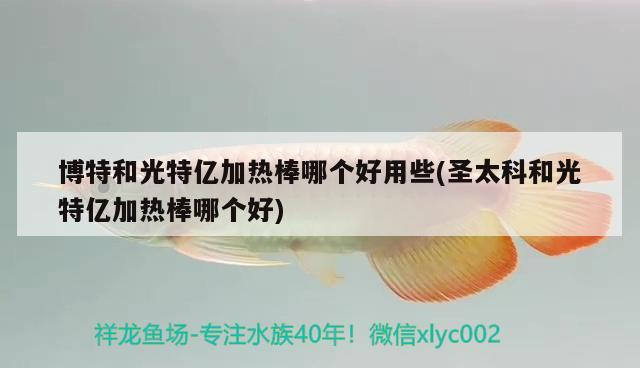 博特和光特億加熱棒哪個好用些(圣太科和光特億加熱棒哪個好)