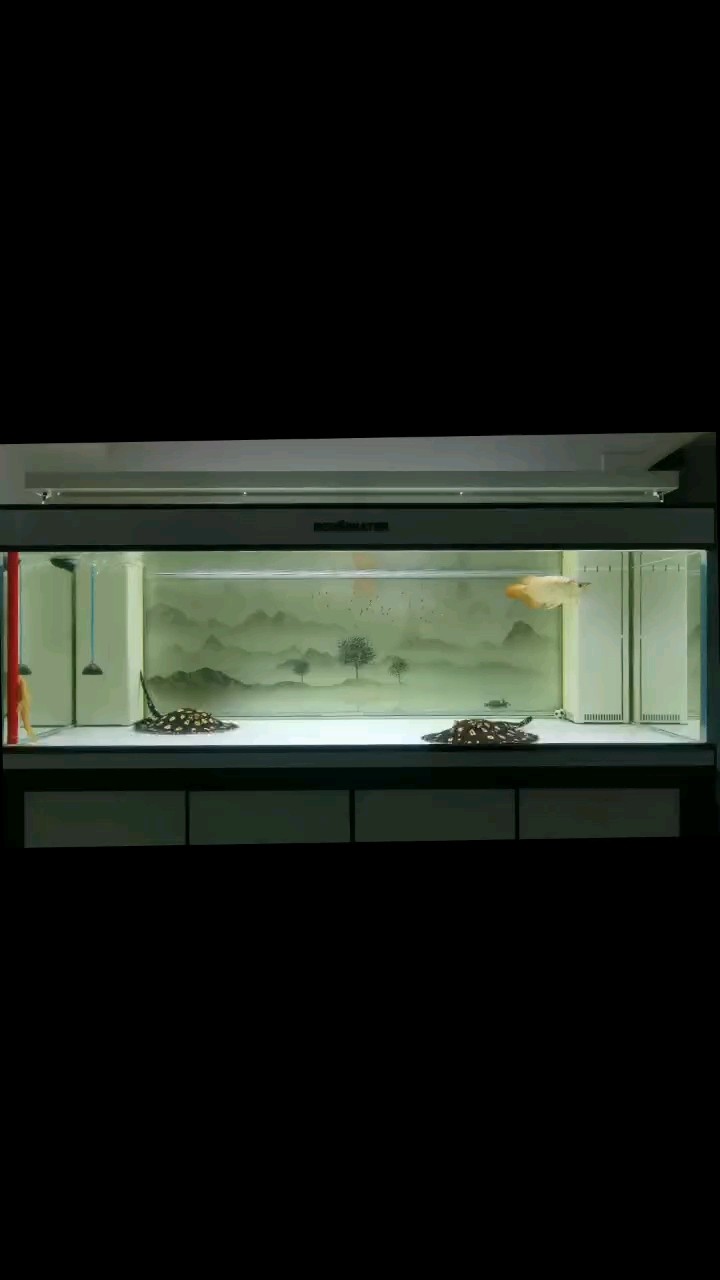 清醒，知趣，明得失！