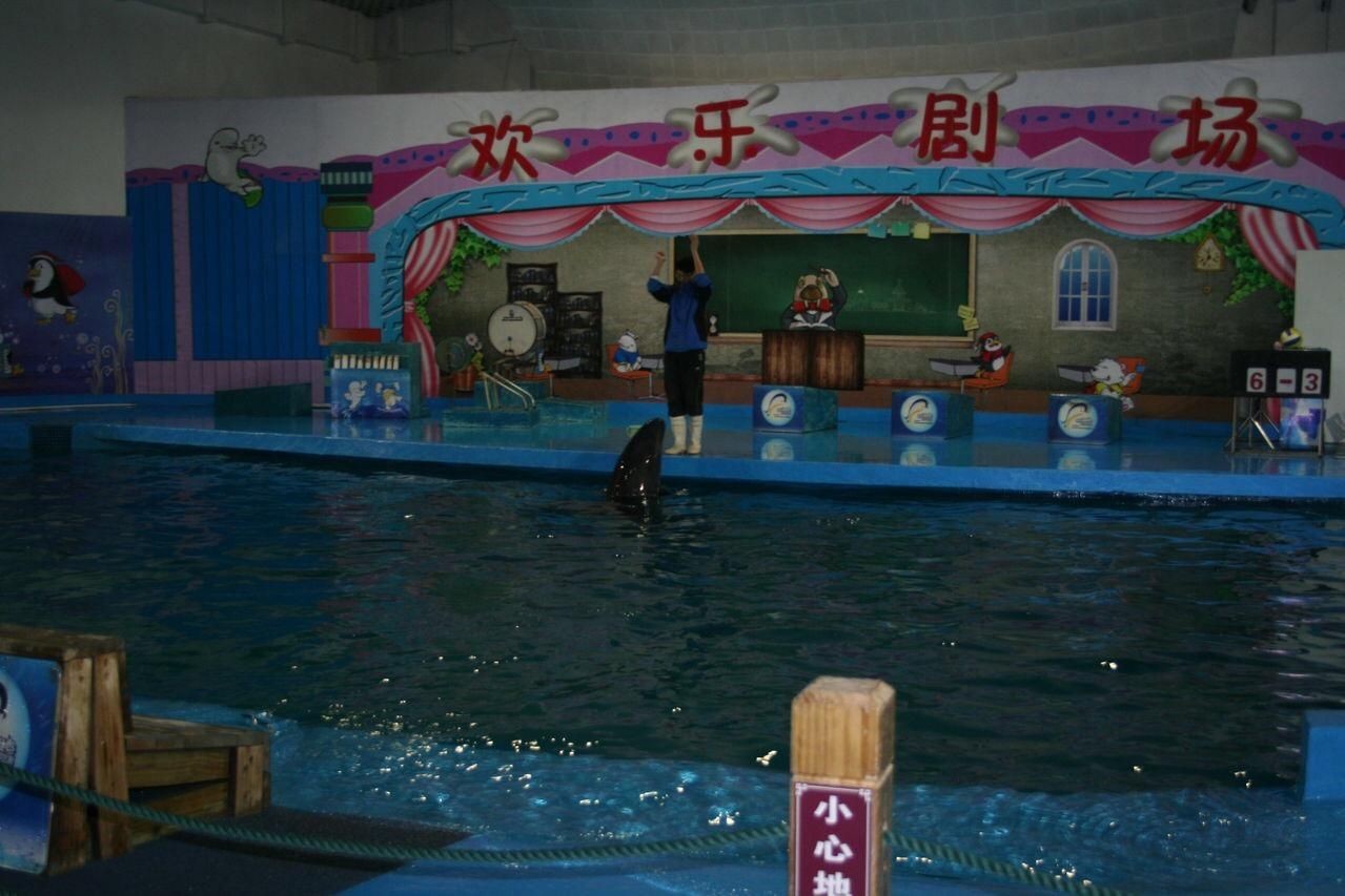 濮陽水族館vs祥龍魚場（探討濮陽水族館與祥龍魚場之間的差異，我們需要明確基本信息和特點）