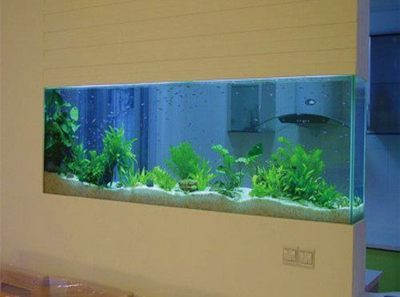 1.5米的魚缸放在家里合適嗎？：1.5米的魚缸放在家里合適嗎，放在家里合適嗎