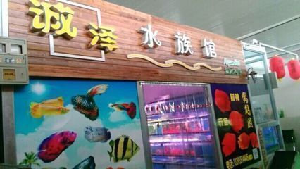龍魚外傷缺肉vs祥龍魚場：龍魚外傷與祥龍魚場之間的關系