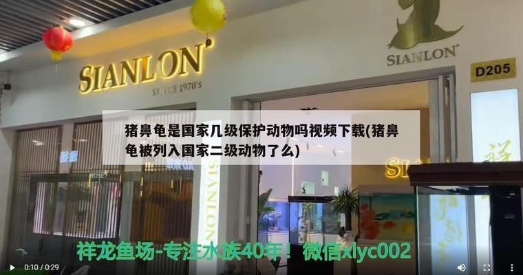 豬鼻龜從哪年列入二級保護動物的：豬鼻龜是國家二級保護動物嗎