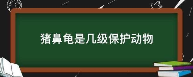 豬鼻龜從哪年列入二級保護動物的：豬鼻龜是國家二級保護動物嗎