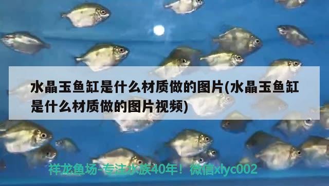 水晶玉魚缸是什么材質做的圖片(水晶玉魚缸是什么材質做的圖片視頻)