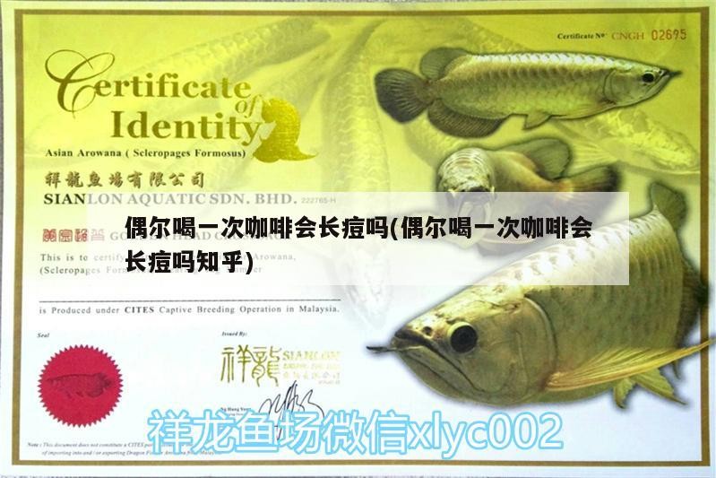 偶爾喝一次咖啡會(huì)長(zhǎng)痘嗎(偶爾喝一次咖啡會(huì)長(zhǎng)痘嗎知乎) 偶爾喝一次咖啡會(huì)長(zhǎng)痘嗎(偶爾喝一次咖啡會(huì)長(zhǎng)痘嗎知乎) 馬來(lái)西亞咖啡