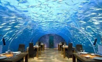 黑河水族館vs祥龍魚場（黑河水族館和祥龍魚場之前需要明確這兩個具體信息）