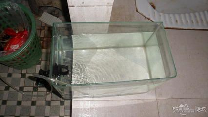 diy金魚缸過濾：diy金魚缸過濾系統