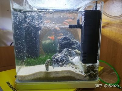 森森上濾盒改造