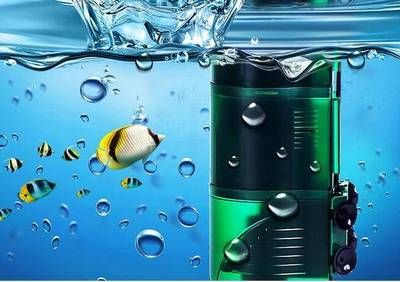 300升魚缸：300升水的魚缸適合養什么樣的魚