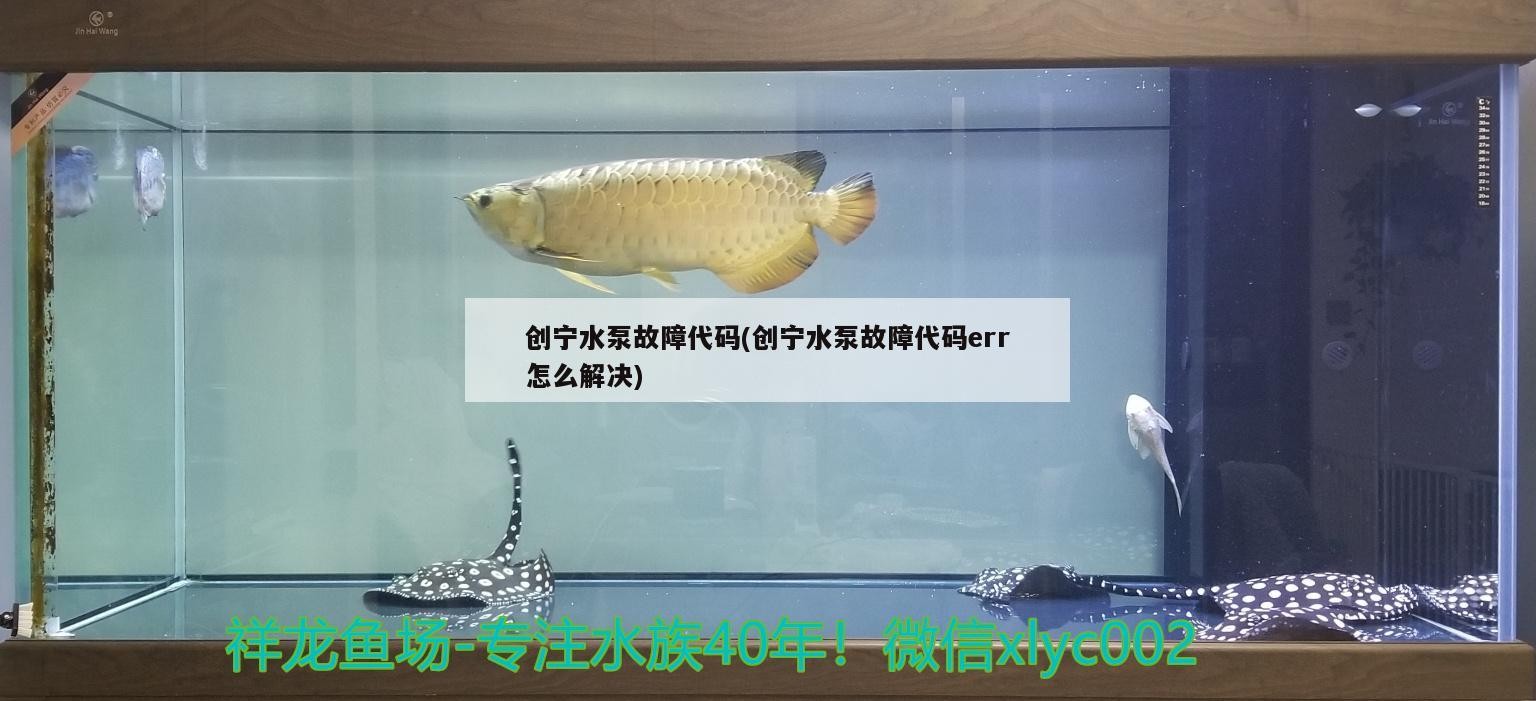 創寧水泵故障代碼(創寧水泵故障代碼err怎么解決)