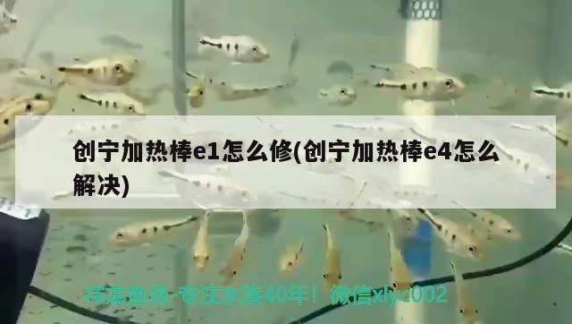 創(chuàng)寧加熱棒e1怎么修(創(chuàng)寧加熱棒e4怎么解決)