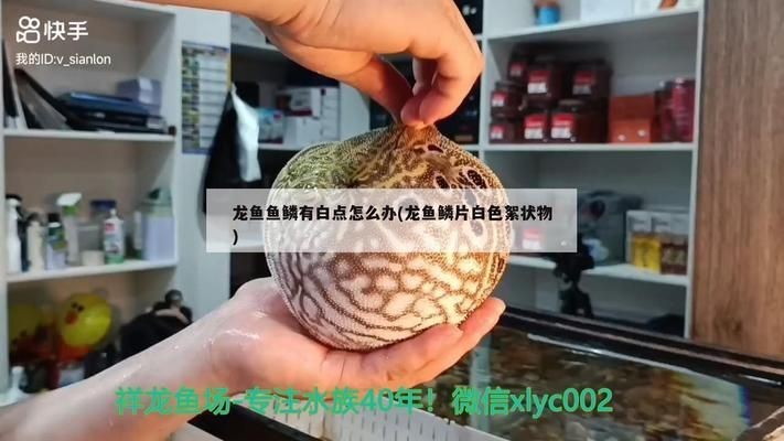 龍魚魚鱗起白色凸起物怎么回事vs祥龍魚場：如何預防龍魚疾病