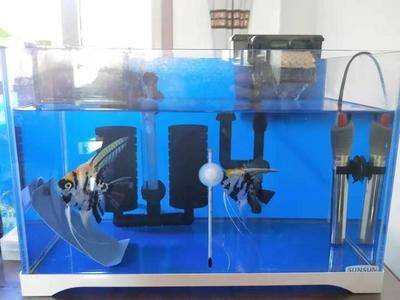 1號(hào)水族魚(yú)缸使用說(shuō)明書(shū)圖片：1號(hào)水族魚(yú)缸使用指導(dǎo)