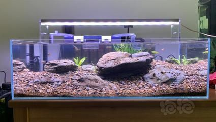 50cm魚缸造景圖片：50cm魚缸造景圖片及相關信息匯總：水草造景制作方法