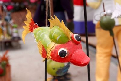 精品紅龍魚價格：精品紅龍魚的價格