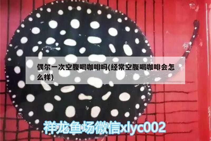 偶爾一次空腹喝咖啡嗎(經(jīng)常空腹喝咖啡會怎么樣)