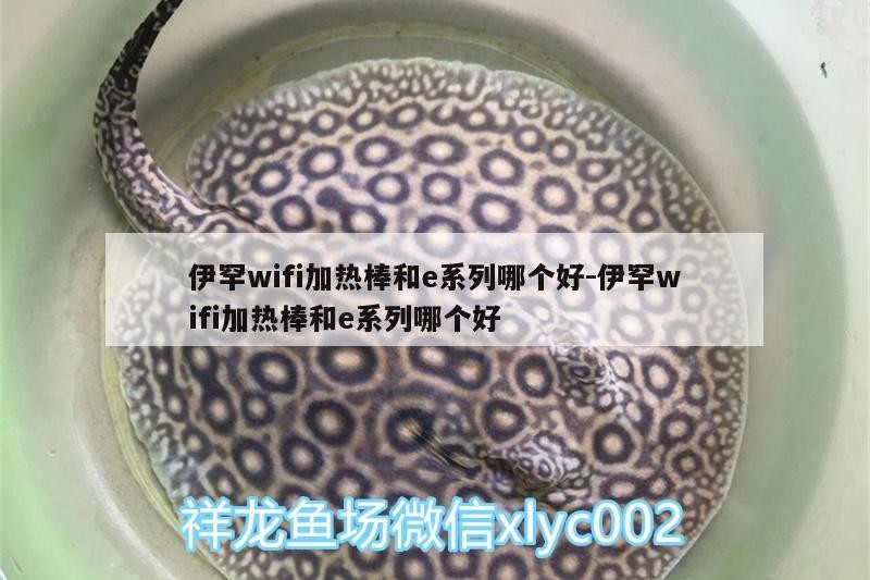 伊罕wifi加熱棒和e系列哪個好:伊罕wifi加熱棒和e系列哪個好