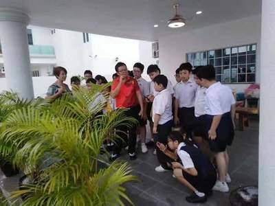 福州龍魚vs祥龍魚場（福州龍魚和廣州龍魚在中國南方都有一定的知名度和市場份額）