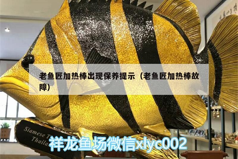 老魚匠加熱棒出現保養提示（老魚匠加熱棒故障）