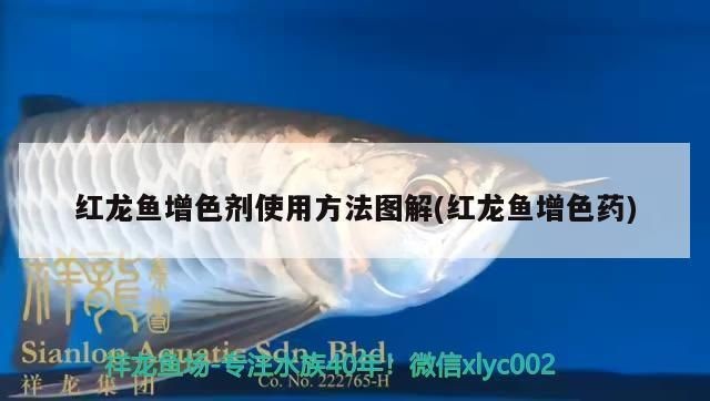 紅龍魚增色劑使用方法：紅龍魚增色劑的使用方法