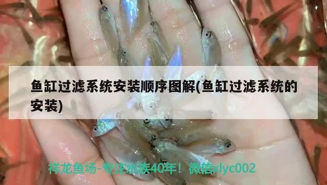 魚缸過濾系統(tǒng)安裝順序圖解(魚缸過濾系統(tǒng)的安裝)