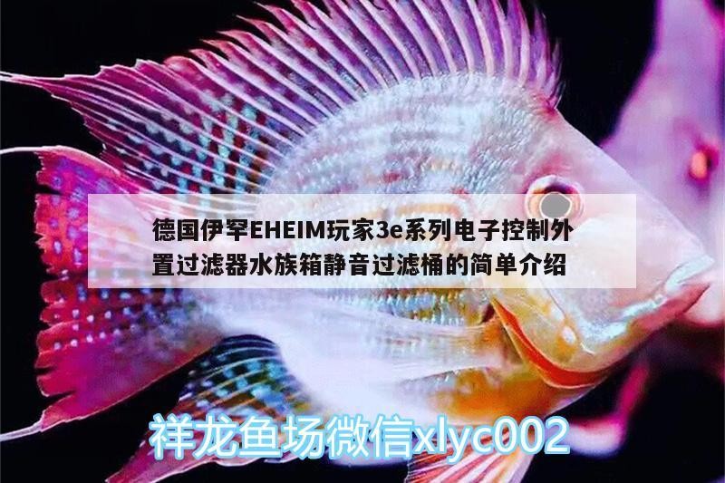 德國伊罕EHEIM玩家3e系列電子控制外置過濾器水族箱靜音過濾桶的簡單介紹