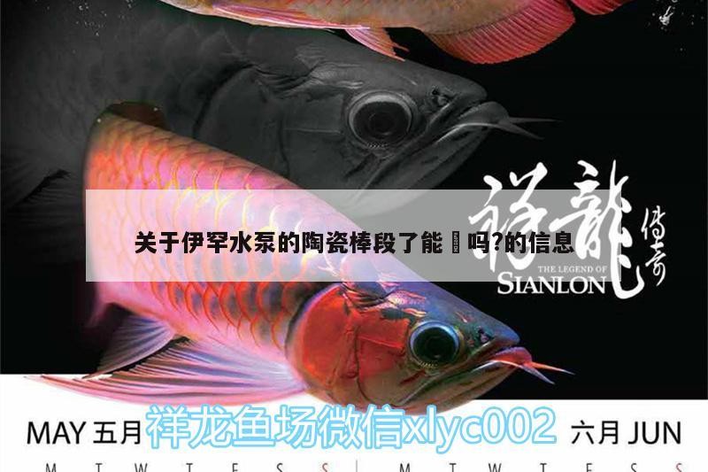 關于伊罕水泵的陶瓷棒段了能俢嗎?的信息