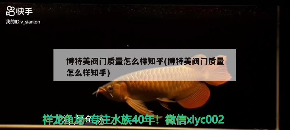 我的虎魚真菌感染了要怎么處理 博特美閥門質(zhì)量怎么樣知乎(博特美閥門質(zhì)量怎么樣知乎) 博特水族 博特美閥門質(zhì)量怎么樣知乎(博特美閥門質(zhì)量怎么樣知乎) 博特美閥門質(zhì)量怎么樣知乎(博特美閥門質(zhì)量怎么樣知乎) 博特水族