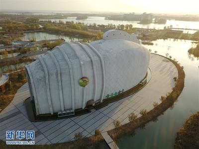 宿遷水族館vs祥龍魚場（宿遷水族館和祥龍魚場哪個好）
