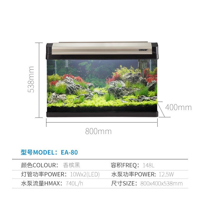80魚缸尺寸:80魚缸尺寸怎么選擇 魚缸百科 第1張 80魚缸尺寸:80魚缸尺寸怎么選擇 80魚缸尺寸:80魚缸尺寸怎么選擇 魚缸百科 第1張